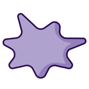 Graphic of Platelet
